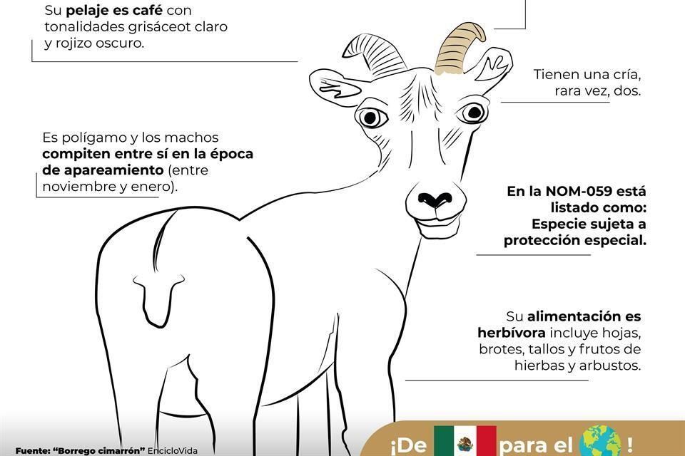 Desatan burlas infografías de Profepa sobre animales