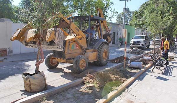 Embellecen Alameda Juárez de San Buena