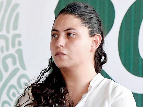 Dan plan educativo millonario a novata
