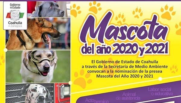 Convocan al concurso: “La mascota del año”