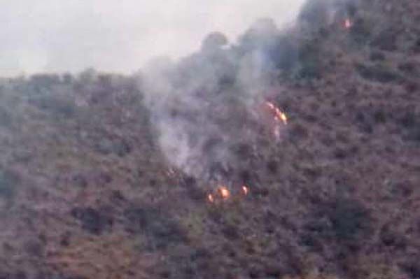 Combaten incendio forestal en la Sierra
