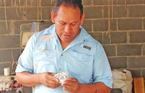 Transforma madera en piezas artísticas