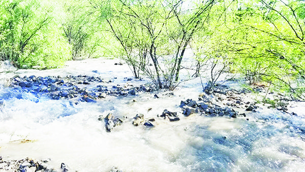 Sin agua Carbonífera