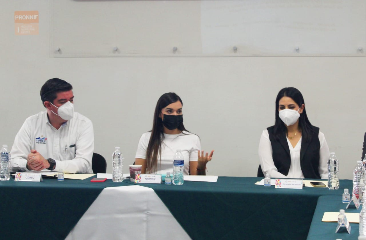 SESIONA LA COMISIÓN PARA LA PROTECCIÓN INTEGRAL DE NIÑAS, NIÑOS Y ADOLESCENTES MIGRANTES EN COAHUILA