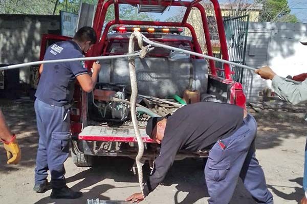 Capturan Bomberos a víbora de 2 metros