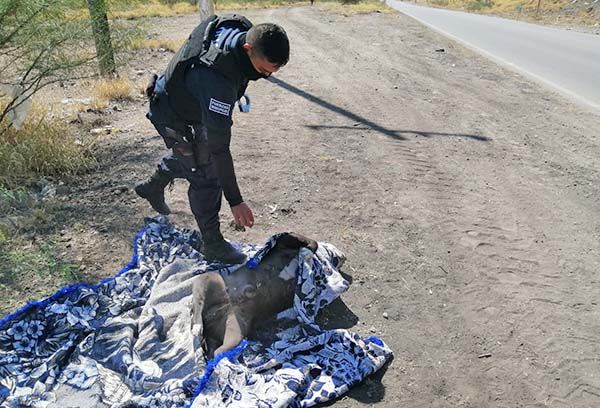 Cuerpo “ensabanado” movilizó a los policías