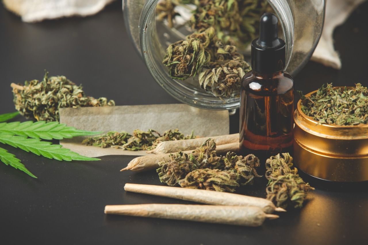Marihuana legal: los países de América que han legalizado el uso del cannabis y los que no