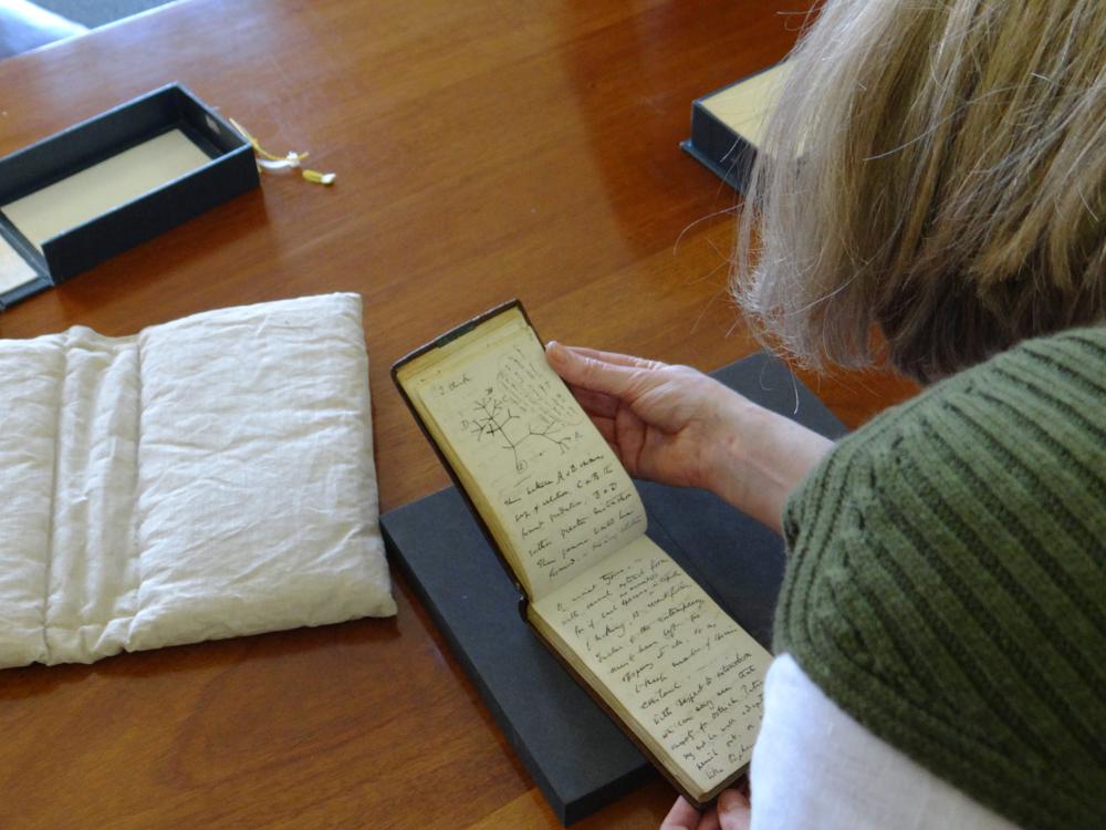 Devuelven dos cuadernos de Charles Darwin desaparecidos durante 20 años