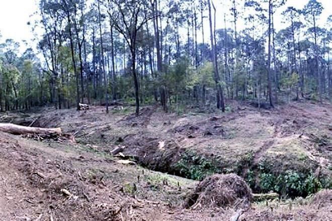 Construyen hotel en área protegida en Valle de Bravo