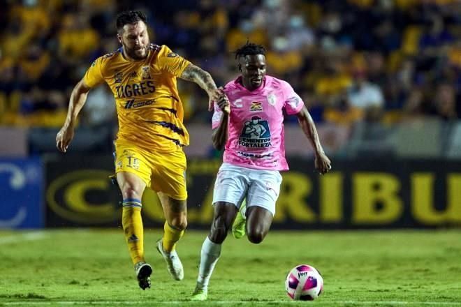 Liderato, ¿duelo entre Tigres y Pachuca?