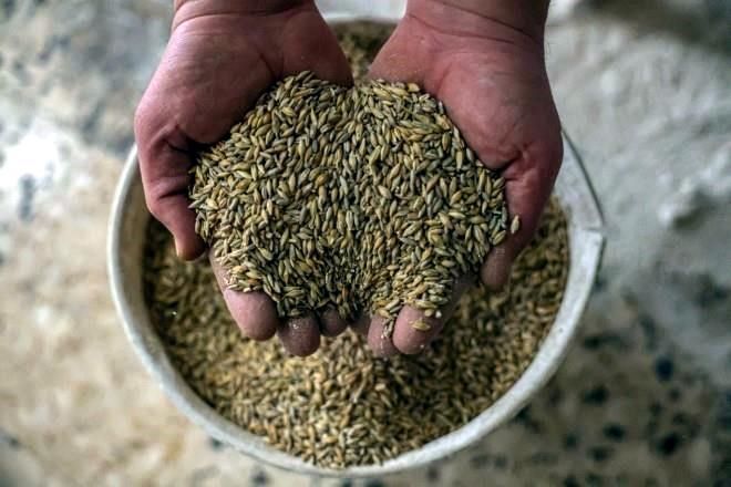 Alcanzan precios de alimentos récord por conflicto bélico