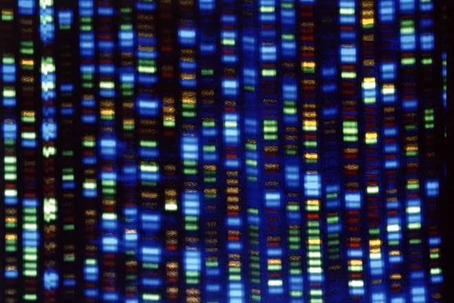 El reto de ‘reescribir’ el genoma humano
