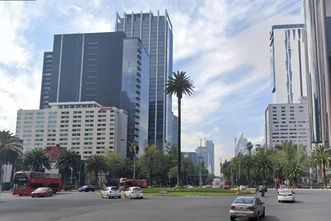 Mengua palmera de Paseo de la Reforma
