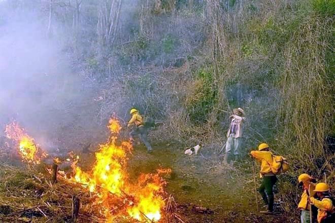 Mueren cuatro en incendio forestal en Oaxaca