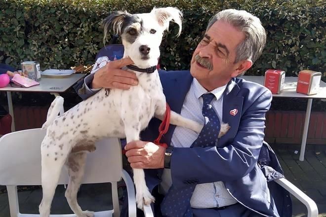 Mediaría entre México y España.-Presidente de Cantabria