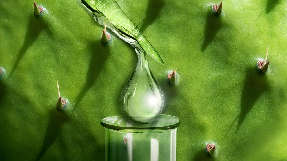 Mucílago: estabilizante natural de bebidas con proteínas