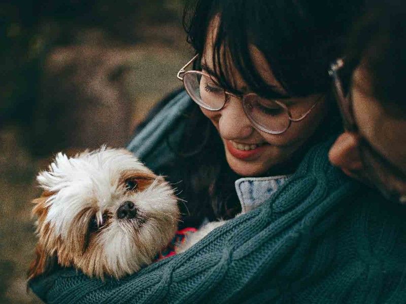 Es muy importante desparasitar a tus mascotas en primavera; te decimos por qué