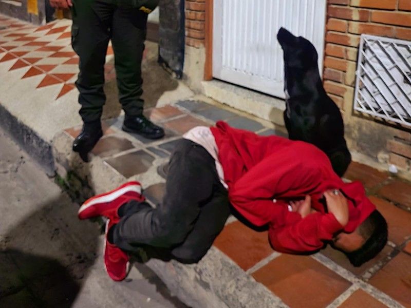Perrito fiel cuida a su dueño borracho y se hace viral