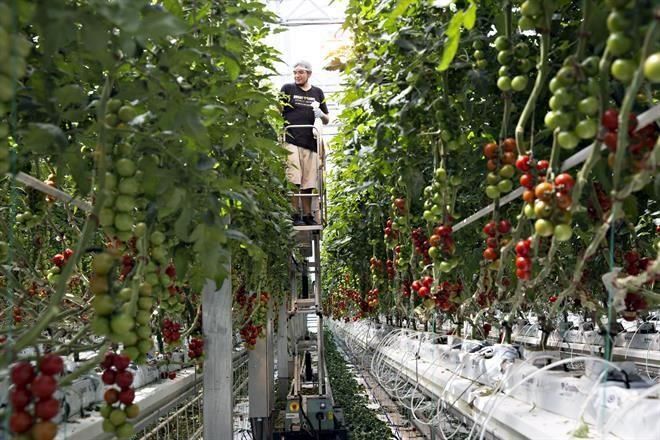 Anima EU reforma laboral en México