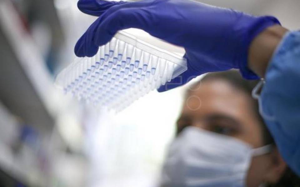 Ómicron. ¿Qué sabemos de la variante «XE», 10% más transmisible que BA.2?