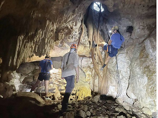 Localizan vestigios en ruta Tren Maya