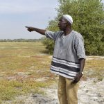 El secreto de Gambia, el pequeño país africano que se convirtió en un referente en la lucha contra el cambio climático