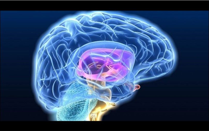 El origen de la esquizofrenia se debería a un fallo genético en las neuronas