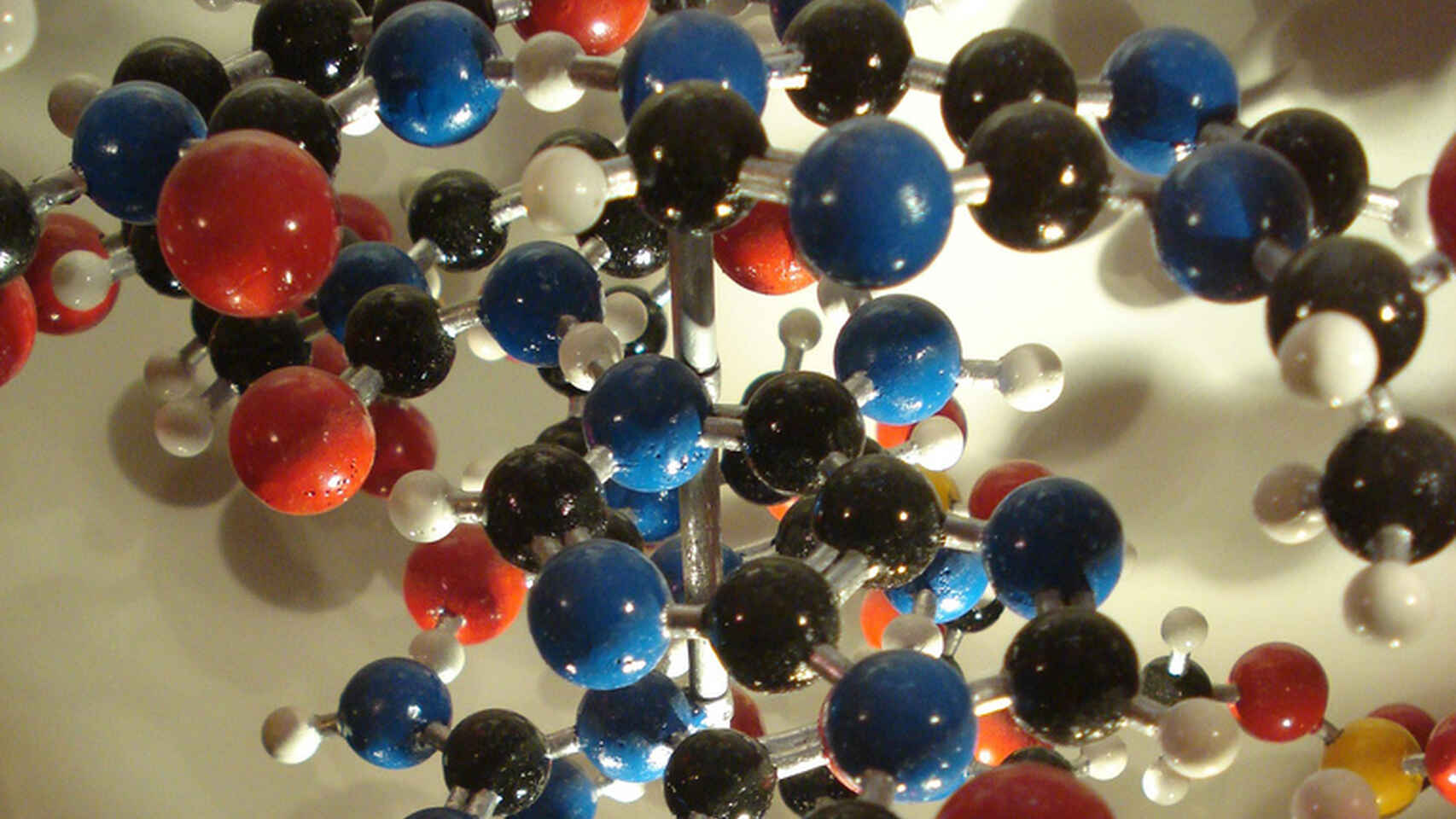 Qué es la poco explorada biología cuántica (y cómo puede dar pistas sobre por qué estamos vivos)