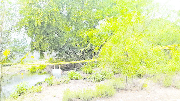 Flota cadáver de vaquero en canal