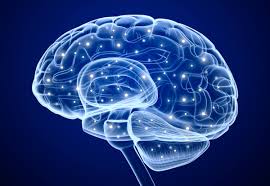 Lo que las experiencias traumáticas le hacen al cerebro y al cuerpo