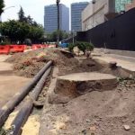 Pausan derribo de árboles por Embajada de EU en CDMX