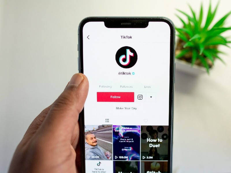 ¡Cuidado con TikTok! Tus contraseñas y tarjetas de crédito podrían estar en peligro