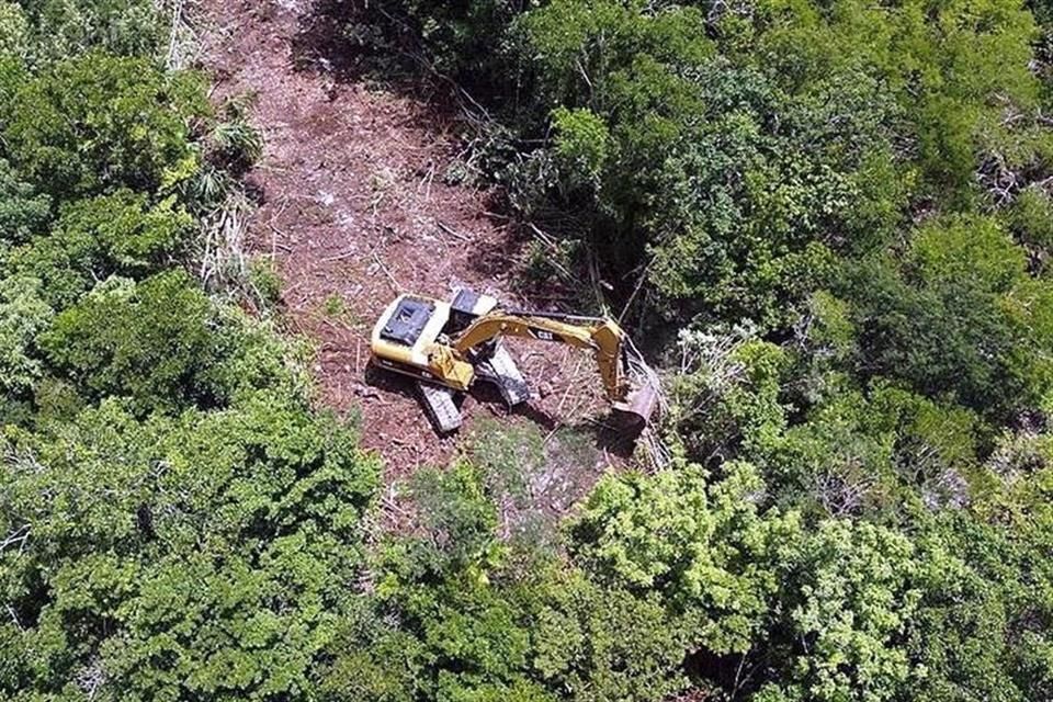 Elimina juez dos suspensiones más contra Tren Maya; queda 1