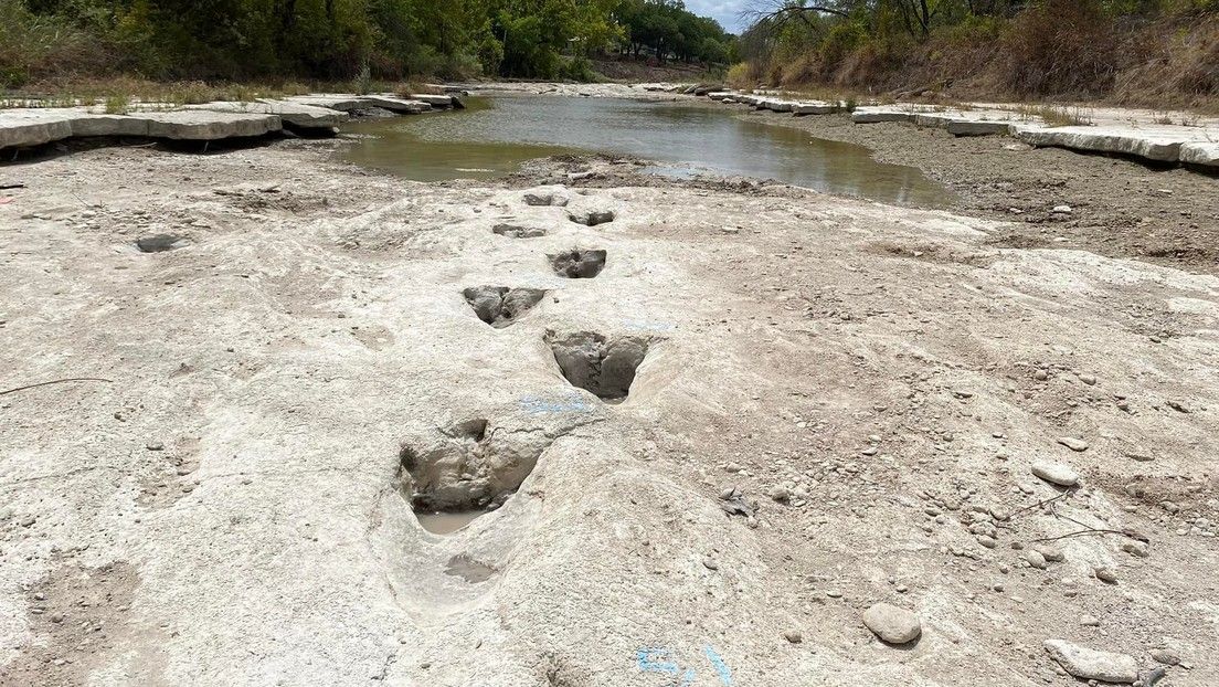 Descubren grandes huellas de dinosaurios en un río afectado por la sequía en Texas
