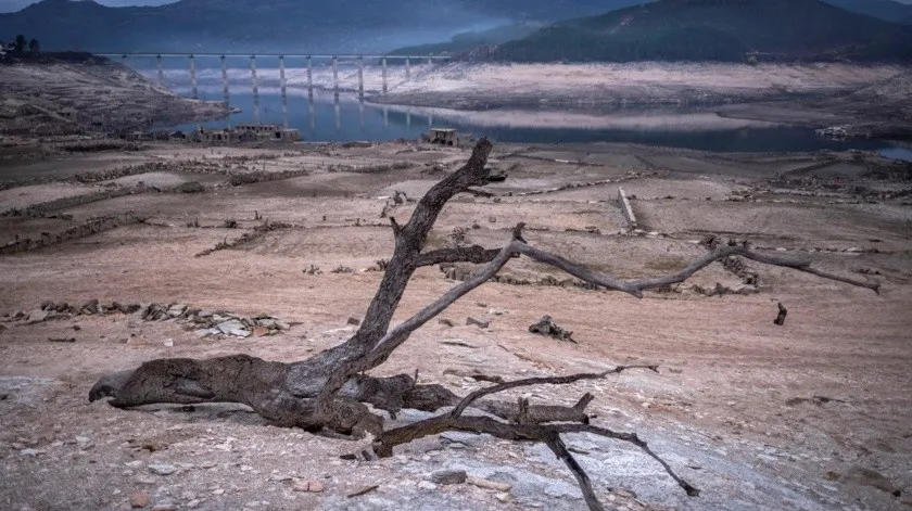 Cambio climático puede empeorar más del 50% de enfermedades infecciosas