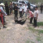 Denuncia PROFEPA a castañenses por cacería de oso.