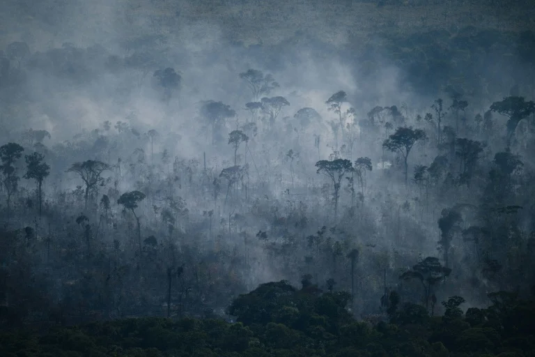 Incendios en la Amazonía de Brasil aumentaron 8% en julio