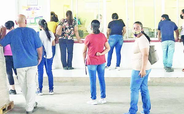 Saturan oficinas de Servicios Educativos