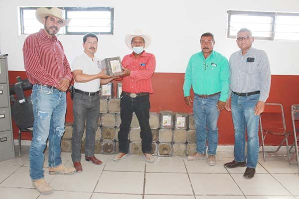 Ofrecen sorgo a bajo costo