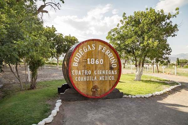 Bodegas Ferriño: Vinos de calidad internacional