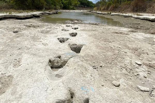 Sequía deja al descubierto huellas de dinosaurios en Texas