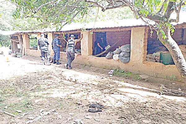 Matan a 5 en ataque en Mochitlán, Guerrero
