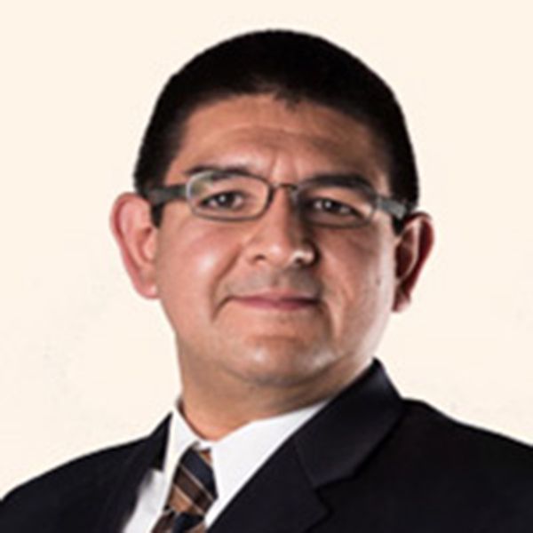 Elecciones internas en Morena