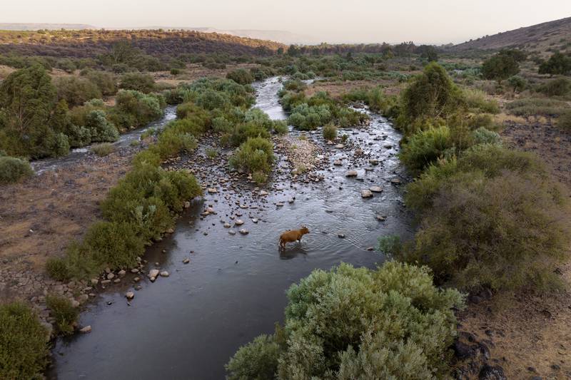 Río Jordán: ¿Qué desgracia le ocurre al lugar donde fue bautizado Jesús de Nazaret?