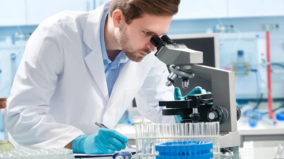 El algoritmo que revolucionó la ciencia: hace en segundos lo que lleva meses en el laboratorio