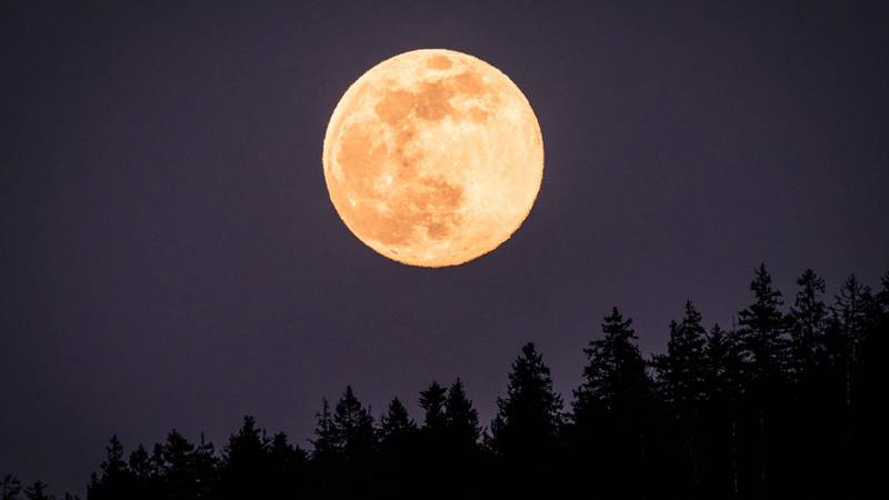 ¿Cuándo y a qué hora podrá verse la última superluna del año con lluvia de meteoros?
