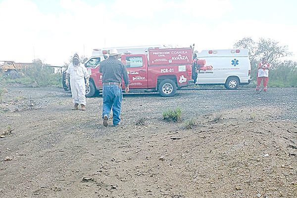 Muerte de recolector de miel fue accidente