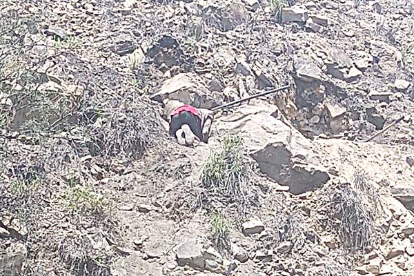 Buscaba miel pero encuentra la muerte