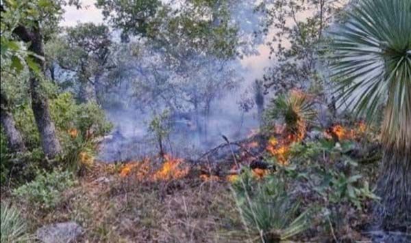 Incendio no es de riesgo: insisten