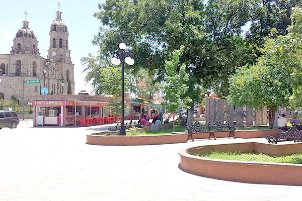 Área de Servicios Primarios no va a la par con Alcaldesa